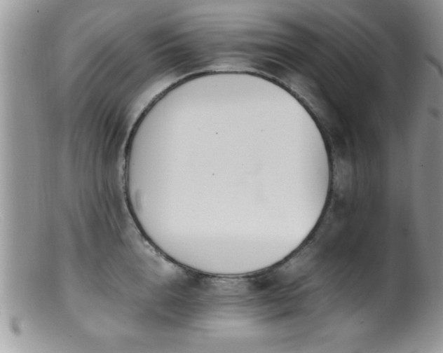 X0000099510856200805151457