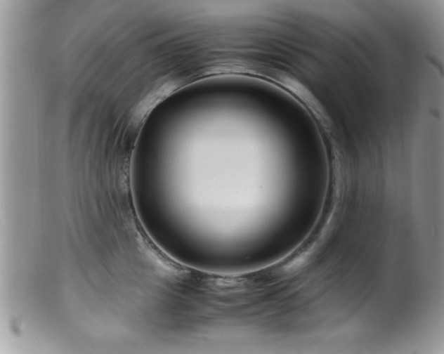 X0000099510857200805151457