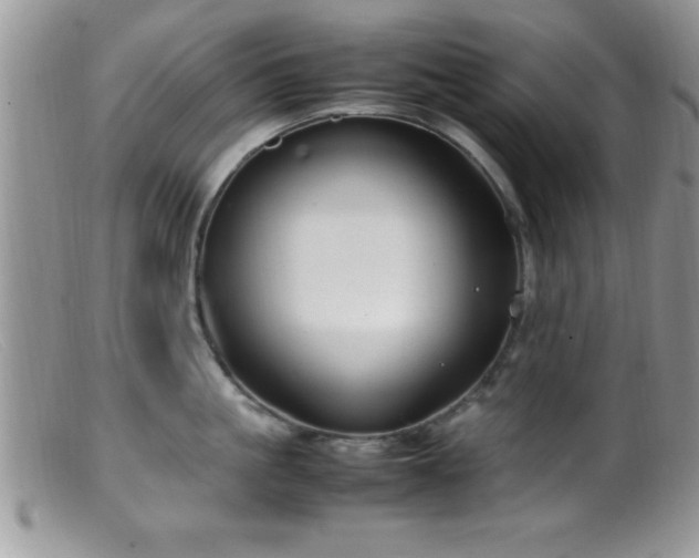 X0000099510861200805151457