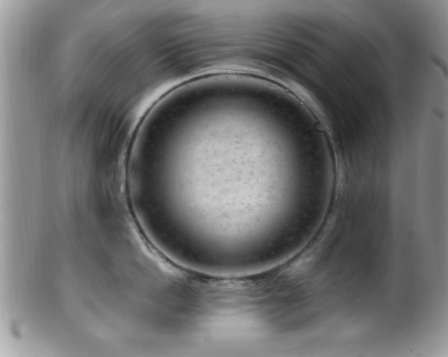 X0000099510862200805151457