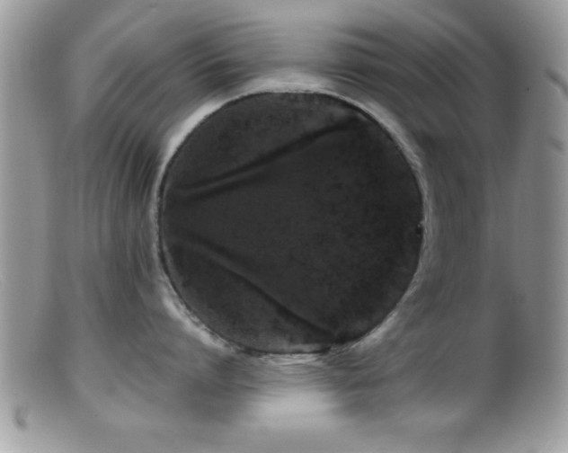 X0000099510864200805151457