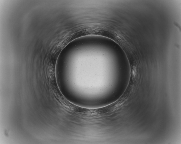 X0000099510867200805151457