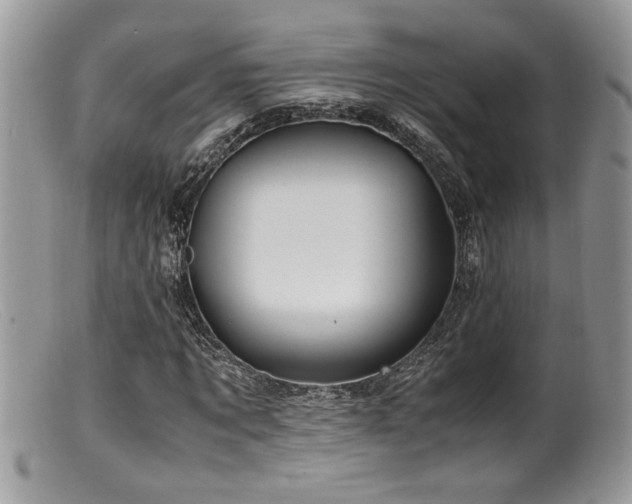X0000099510869200805151457