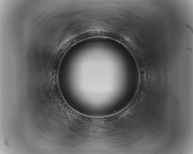 X0000099510870200805151457