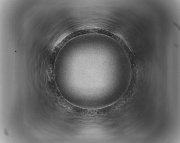 X0000099510871200805151457