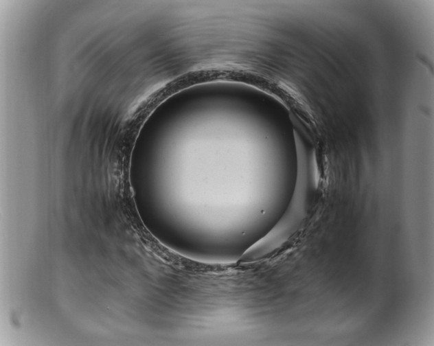 X0000099510872200805151457
