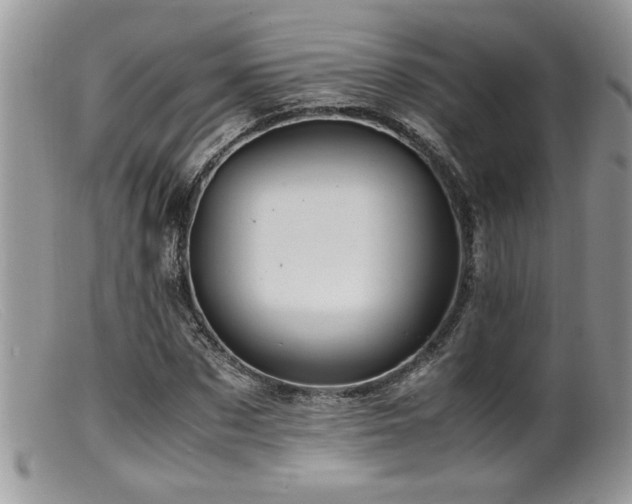 X0000099510873200805151457