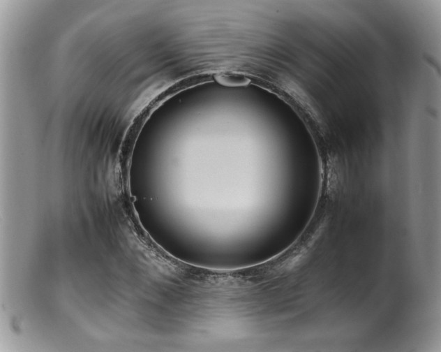 X0000099510876200805151457