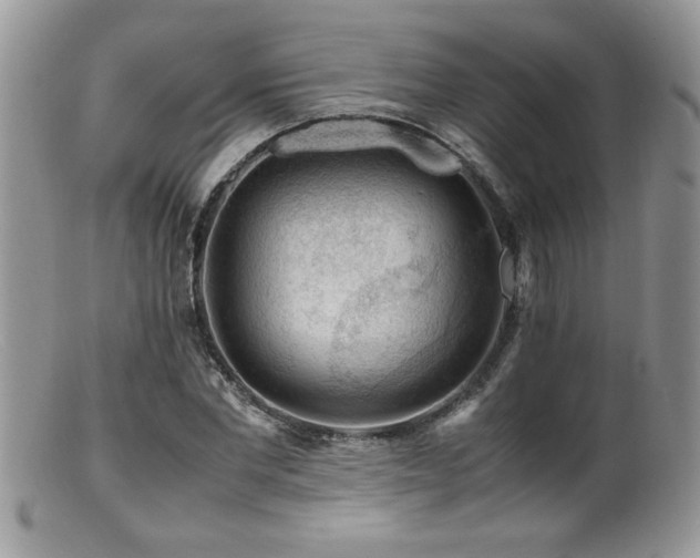X0000099510877200805151457