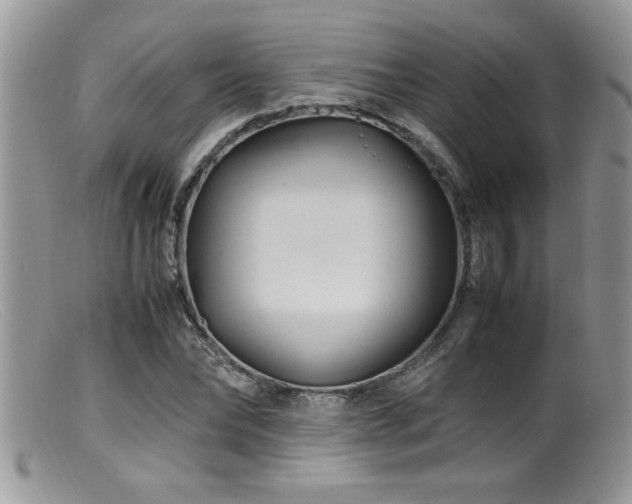 X0000099510878200805151457