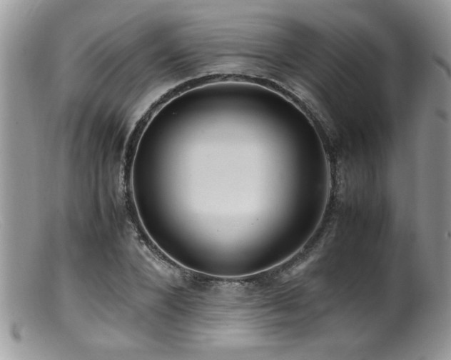 X0000099510880200805151456