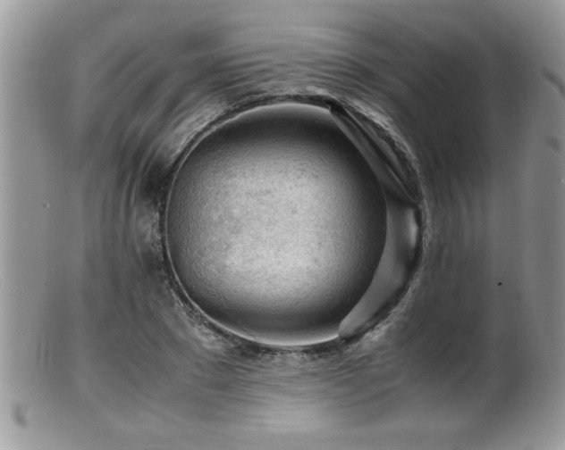 X0000099510881200805151456