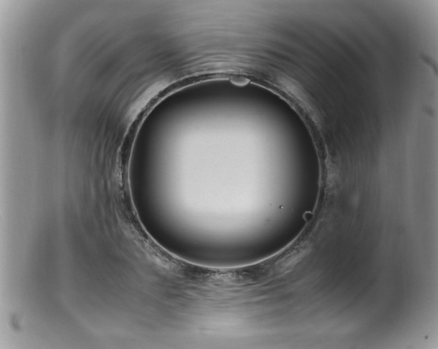 X0000099510883200805151456