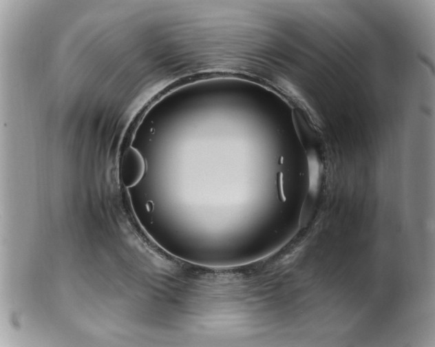 X0000099510884200805151456