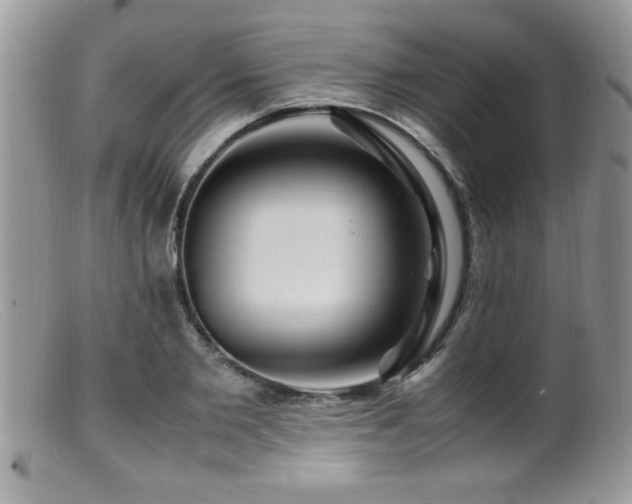 X0000099510885200805151456