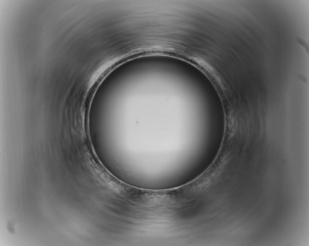 X0000099510886200805151456