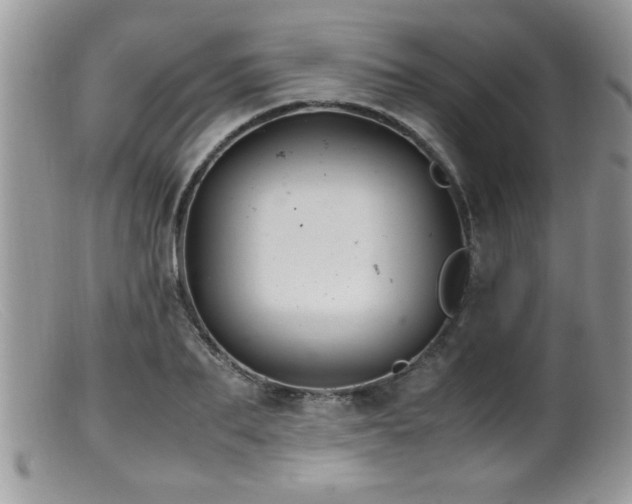 X0000099510887200805151456