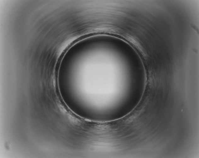 X0000099510888200805151456