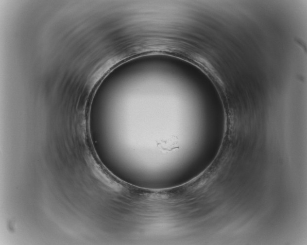 X0000099510890200805151456