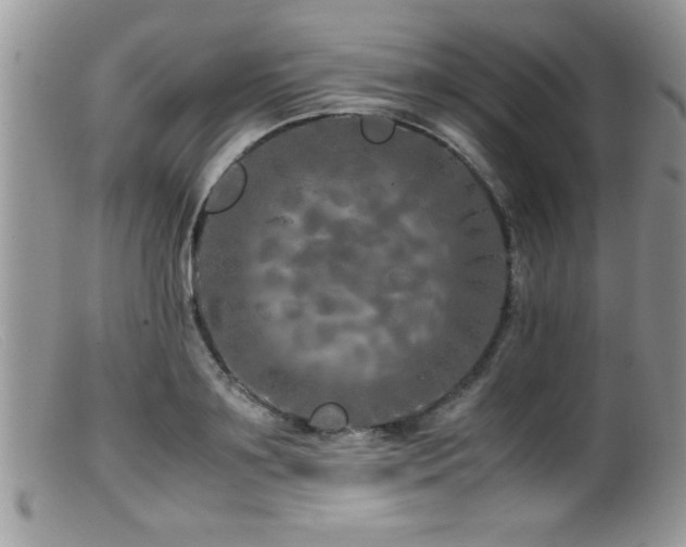 X0000099510891200805151456