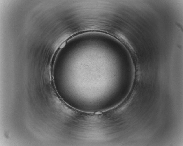 X0000099510892200805151456