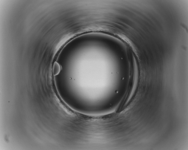 X0000099510894200805151456