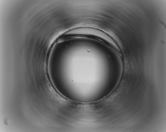 X0000099510896200805151456
