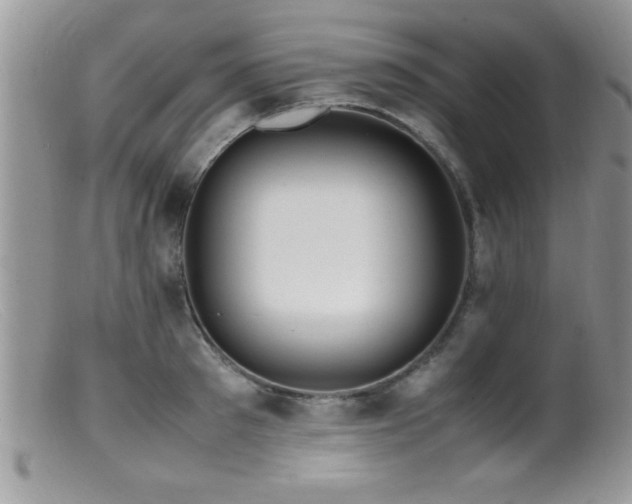 X0000099510897200805151456
