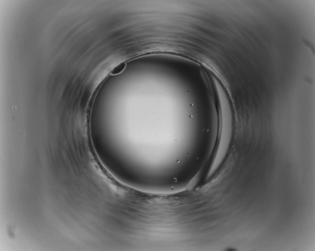 X0000099510898200805151456