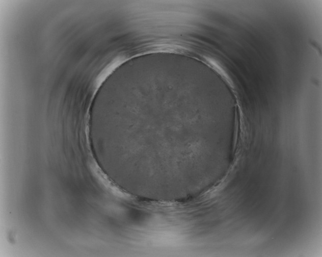 X0000099510899200805151456