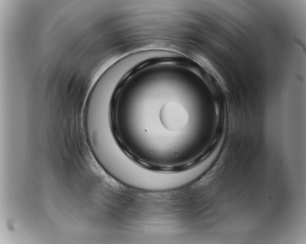 X0000099510900200805151456