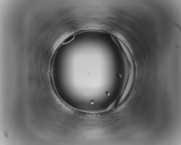 X0000099510901200805151456