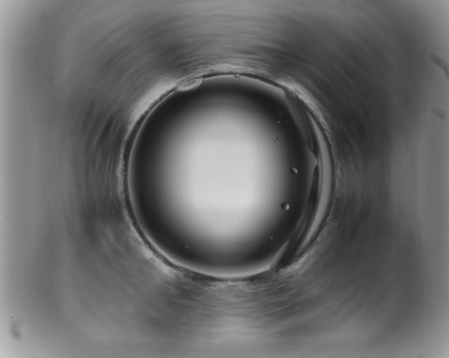 X0000099510902200805151456