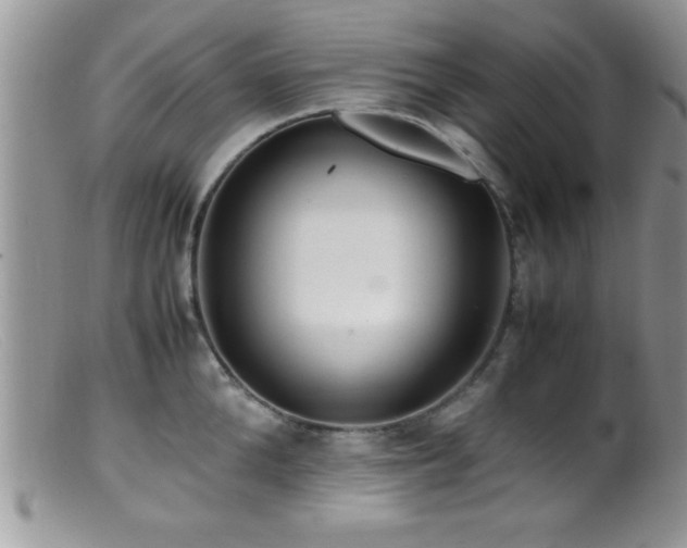 X0000099510904200805151456