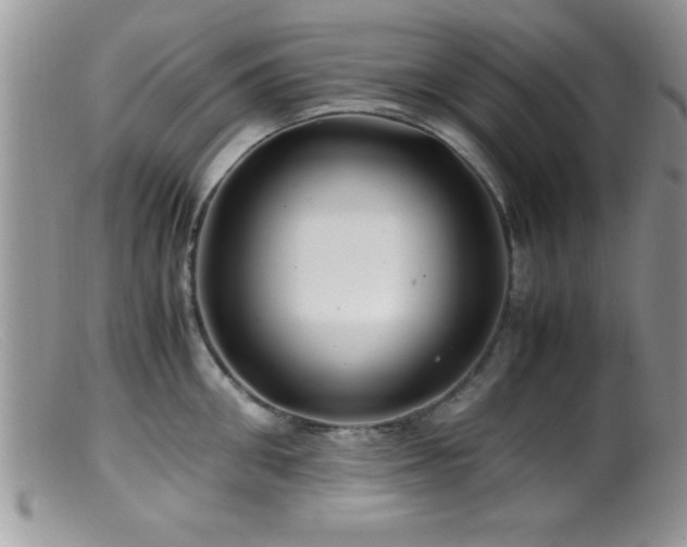 X0000099510906200805151456