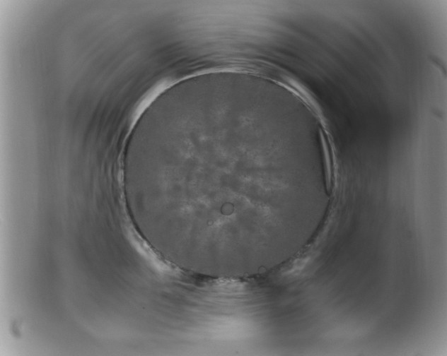 X0000099510907200805151456