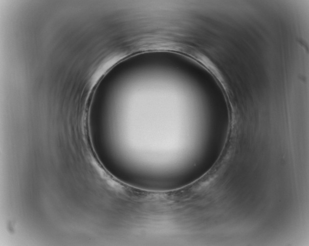 X0000099510909200805151456