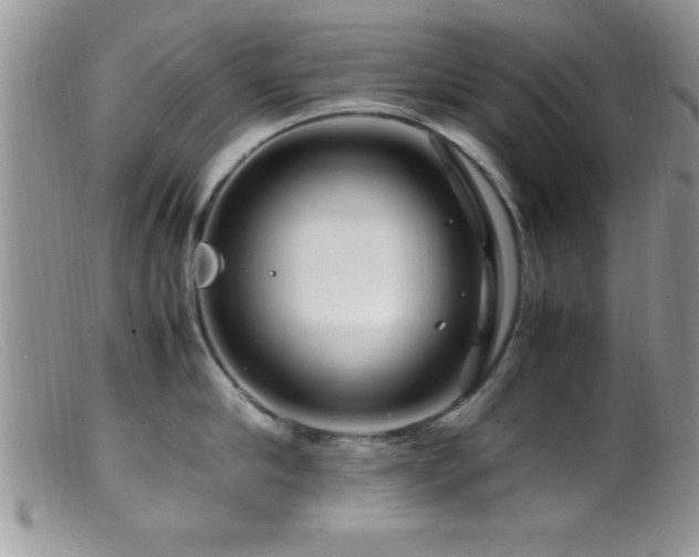 X0000099510910200805151456