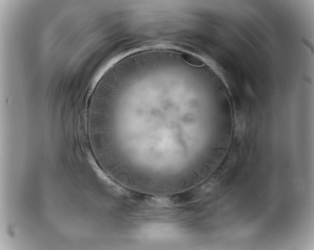 X0000099510911200805151456