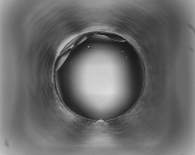 X0000099510912200805151456