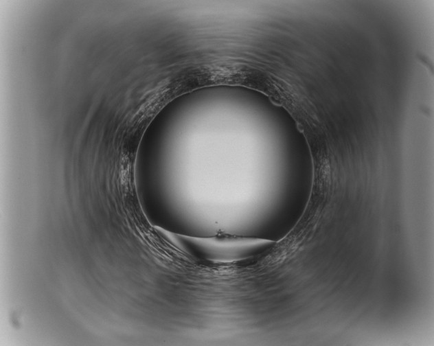 X0000099510914200805151455