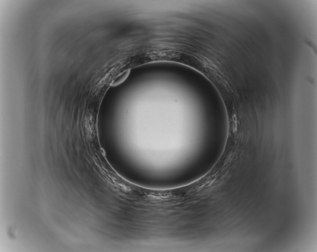 X0000099510915200805151455
