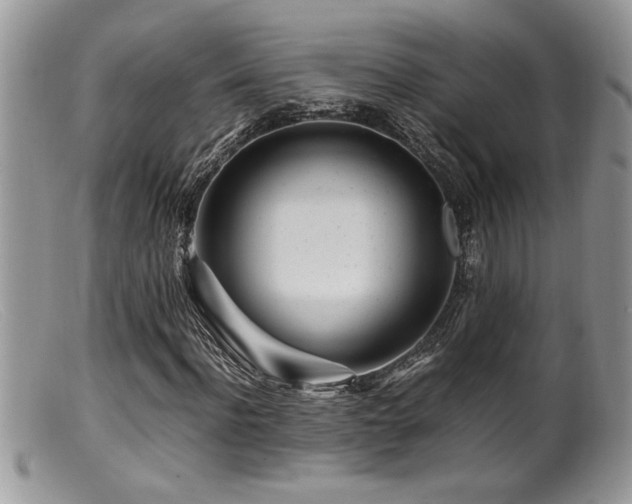X0000099510916200805151455