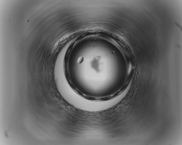 X0000099510920200805151455