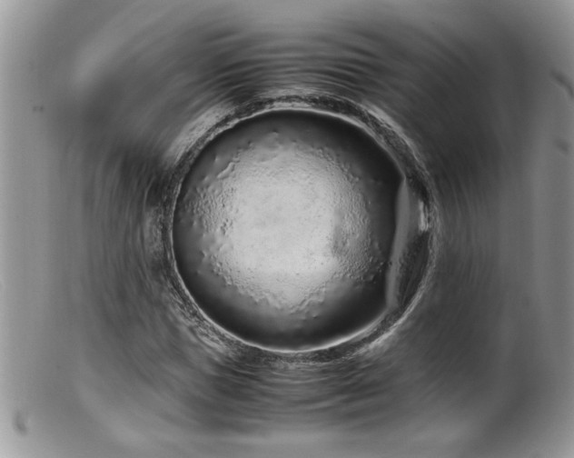 X0000099510921200805151455