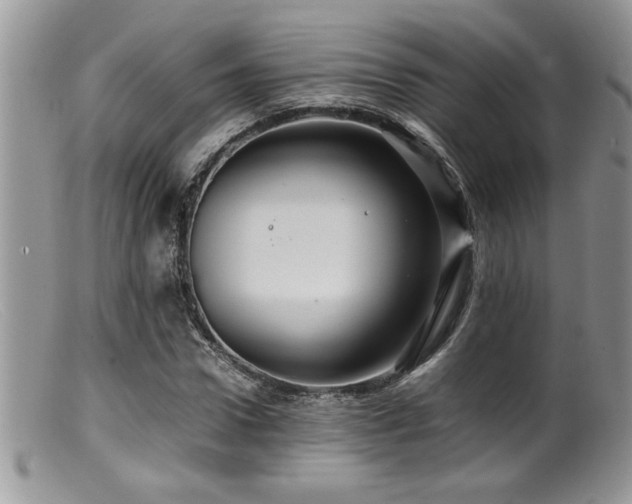 X0000099510922200805151455