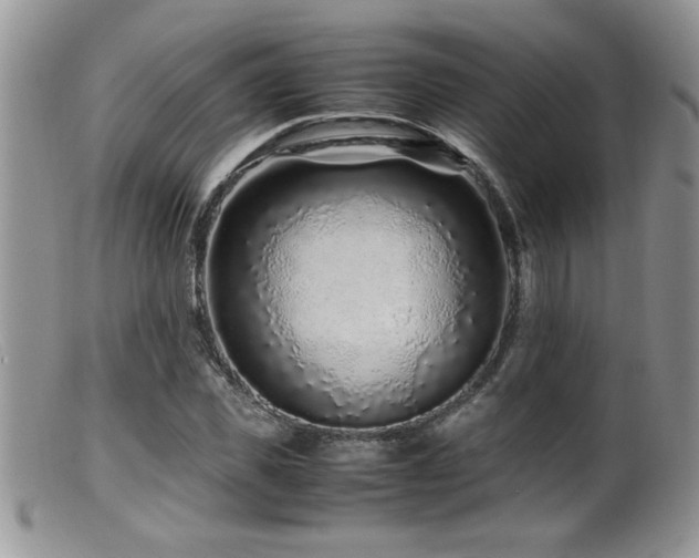 X0000099510925200805151455