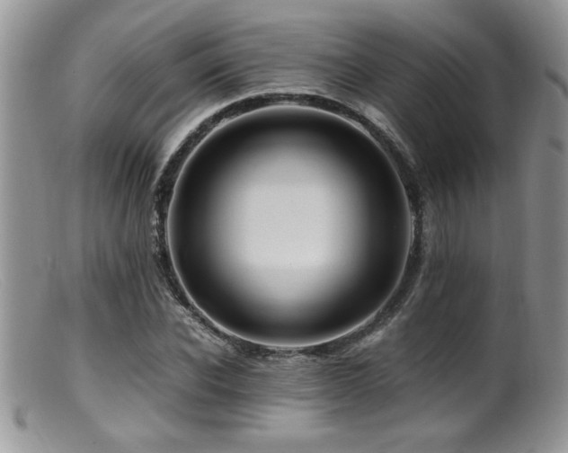 X0000099510926200805151455