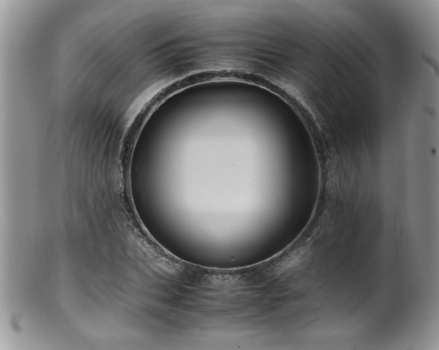 X0000099510927200805151455