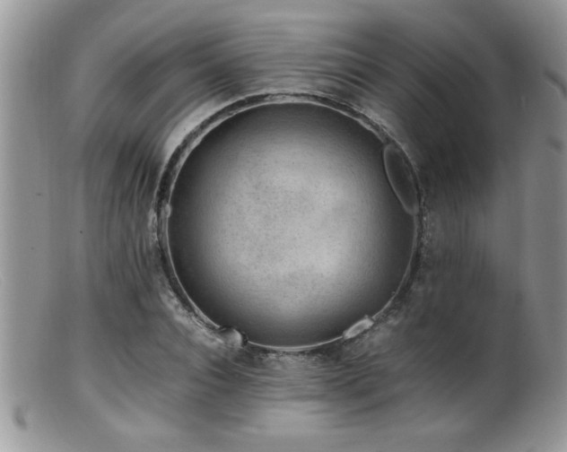 X0000099510928200805151456